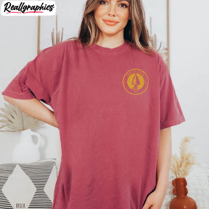 fsu-afc-championship-shirt-comfort-colors-florida-state-2023-shirt-hoodie-3 fsu-afc-championship-shirt-comfort-colors-florida-state-2023-shirt-hoodie-3