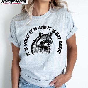 groovy-it-is-what-it-is-and-it-ain-t-great-shirt-raccoon-meme-t-hoodie-sweatshirt-2