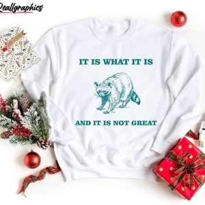 limited-it-is-what-it-is-and-it-ain-t-great-shirt-raccoon-meme-crewneck-tee-tops-2