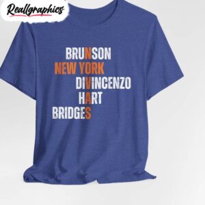 new york nova inspirational unisex hoodie, nova knicks unisex shirt
