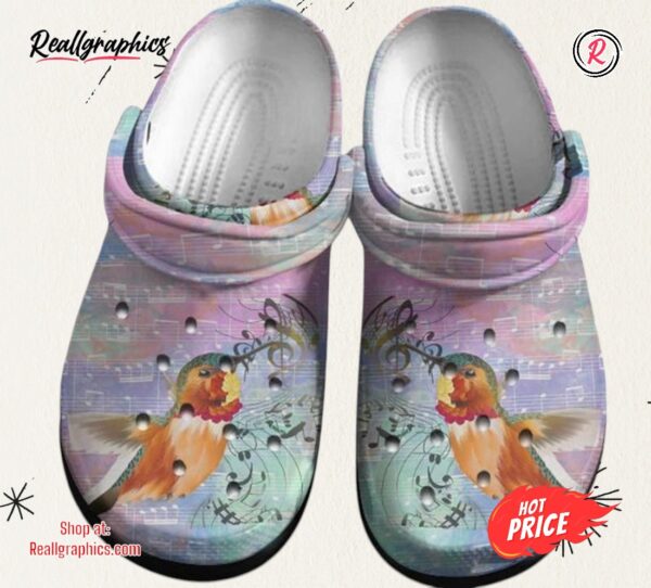 hummingbird with staves classic crocs
