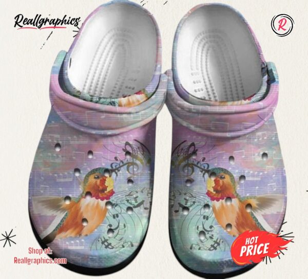 hummingbird with staves classic crocs shoes