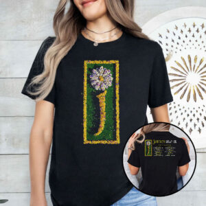 james the band love is the answer tour shirt ufilzt