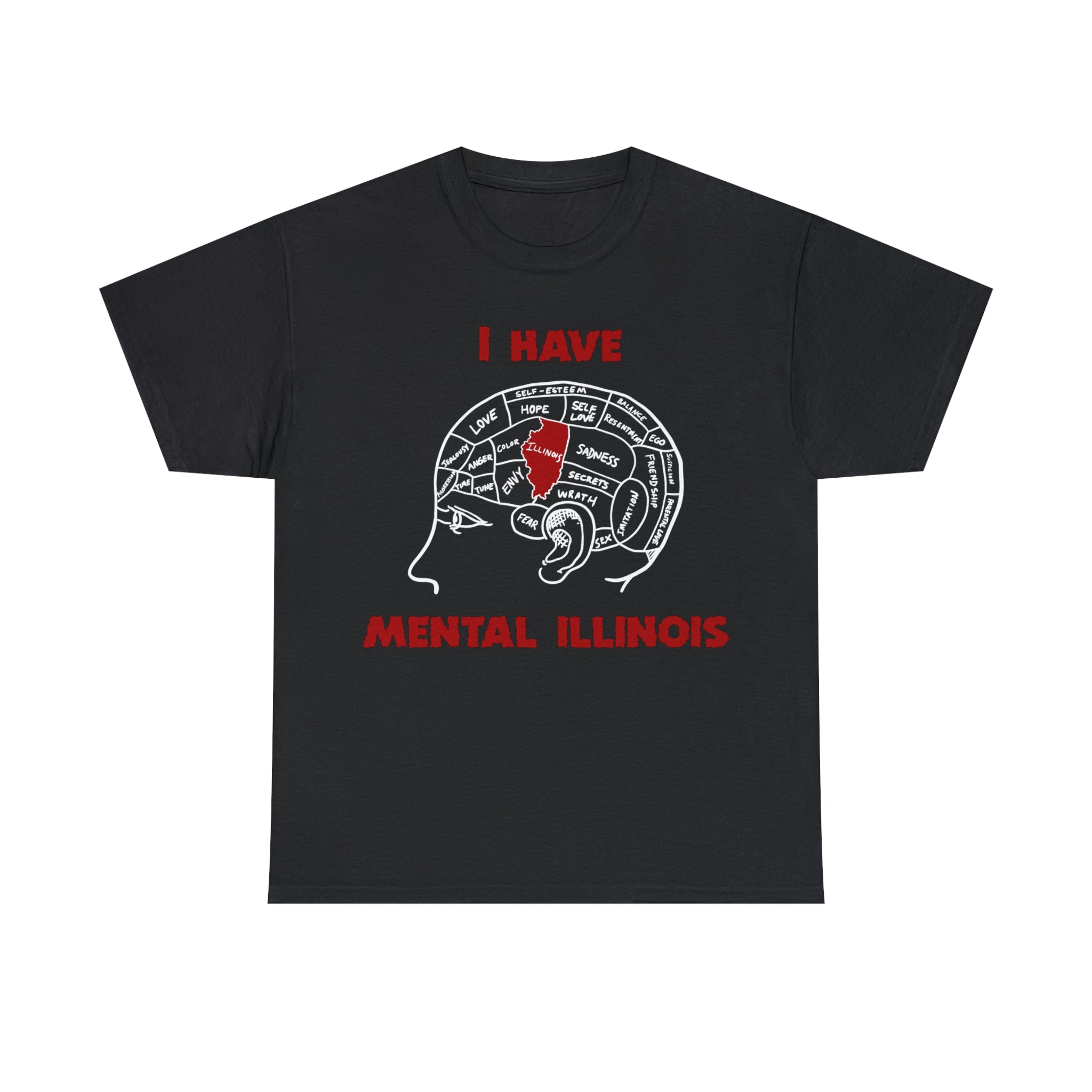i have mental illinois unisex shirt 2 xbvo0z